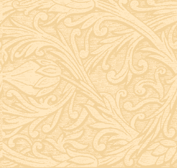 Рупа Виласа